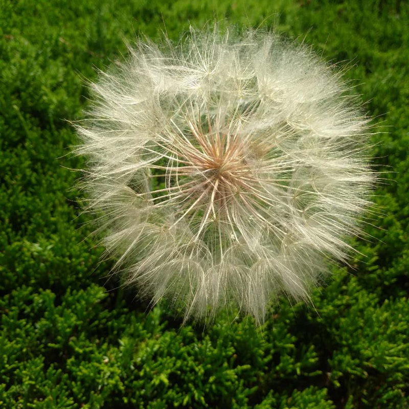 è?2???è?±?o??¤§?????????????¤§?|?????? ??￥é?????