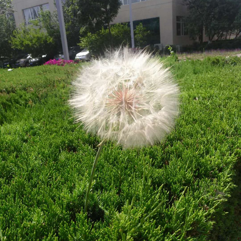 è?2???è?±?o??¤§?????????????¤§?|?????? ??￥é?????