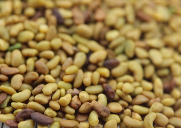 1630240707376355.jpg image.jpg