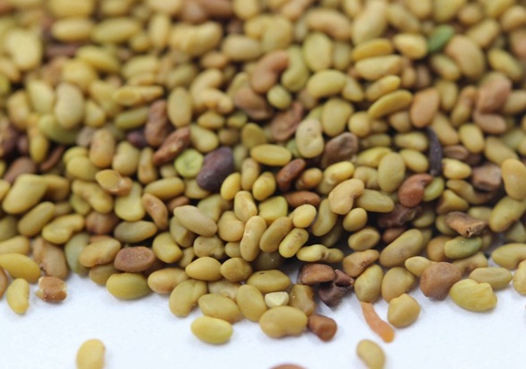 1630240733105707.jpg image.jpg