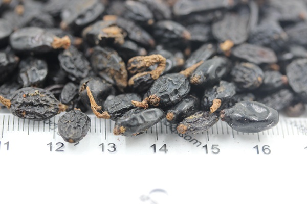 ??￡???è?±?§??-?