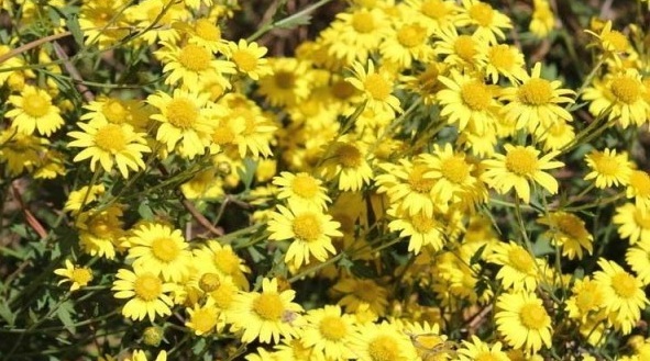 1630242354586586.jpg image.jpg