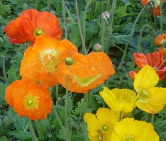 1630242650829151.jpg image.jpg