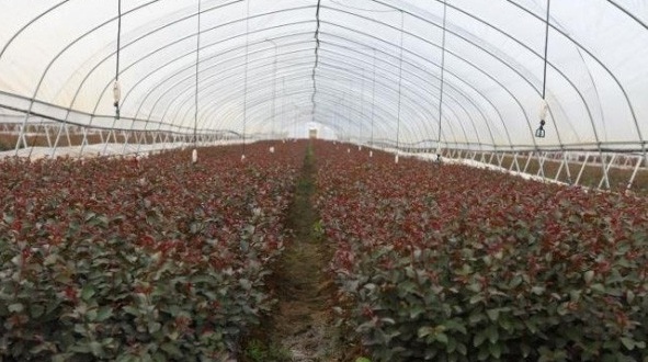 1630244423765766.jpg image.jpg