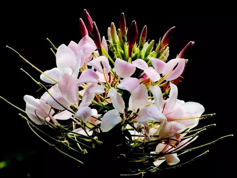 é??è??è?±????????¨??·????????¨é??