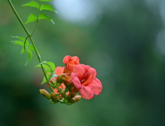 1630248370100704.jpg image.jpg