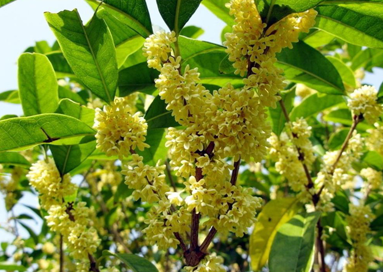 1630382898476839.jpg 1630382898476839.jpg