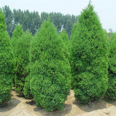 1630383123600118.jpg 1630383123600118.jpg