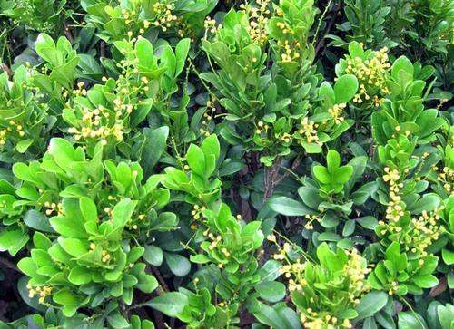 1630392509148000.jpg 1630392509148000.jpg