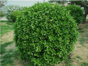 1630392530169691.jpg 1630392530169691.jpg