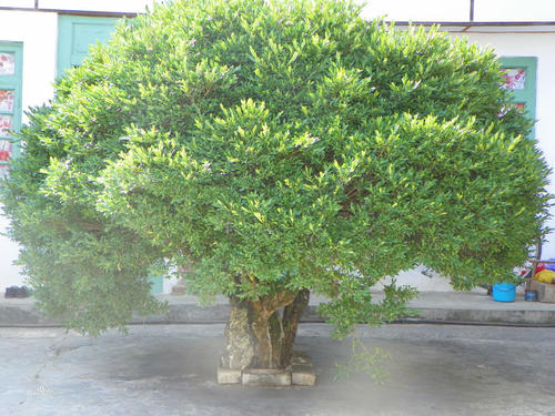 1630392558802732.jpg 1630392558802732.jpg