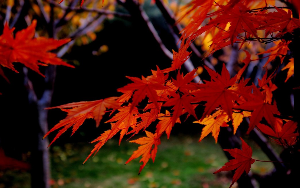 1630394764269135.jpg 1630394764269135.jpg