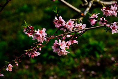 1630395722687123.jpg 1630395722687123.jpg