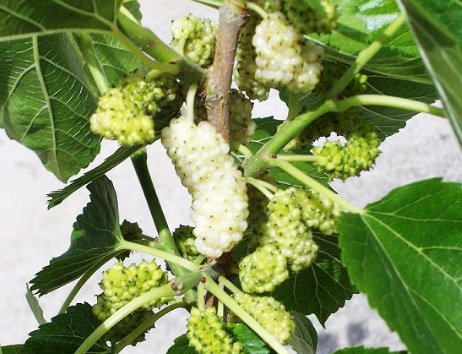 1630416611110979.jpg image.jpg