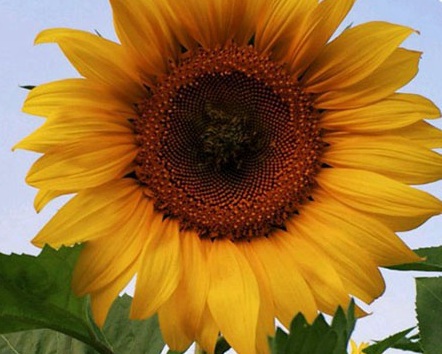 1630416891636189.jpg image.jpg