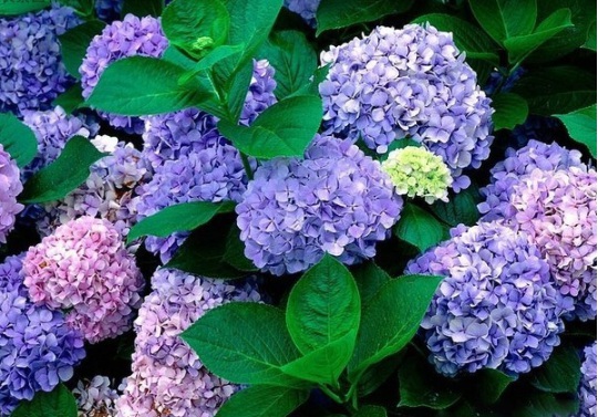 1630471454728001.jpg image.jpg