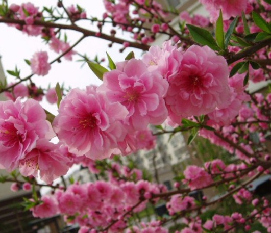 1630482376658996.jpg image.jpg