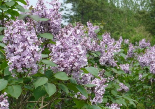 1630483704613035.jpg image.jpg