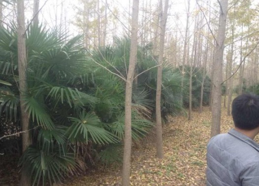 1630483774932413.jpg image.jpg