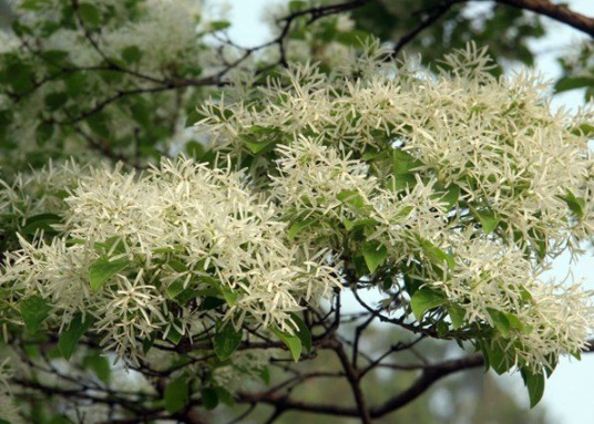 1630484067460575.jpg image.jpg