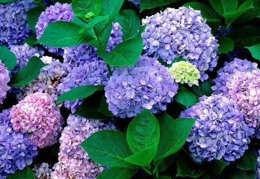 1630500485181311.jpg image.jpg