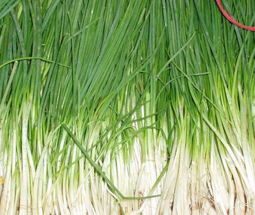 1630666115832820.jpg image.jpg