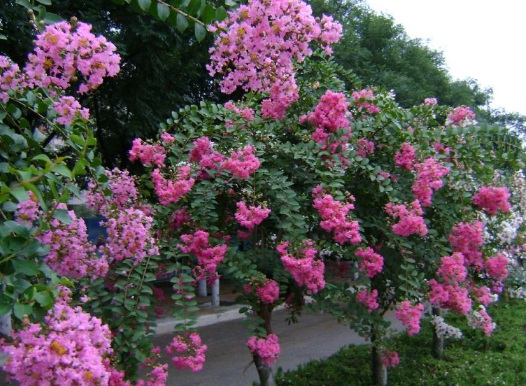 1630667733503575.jpg image.jpg