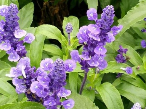 1630670717560884.jpg image.jpg