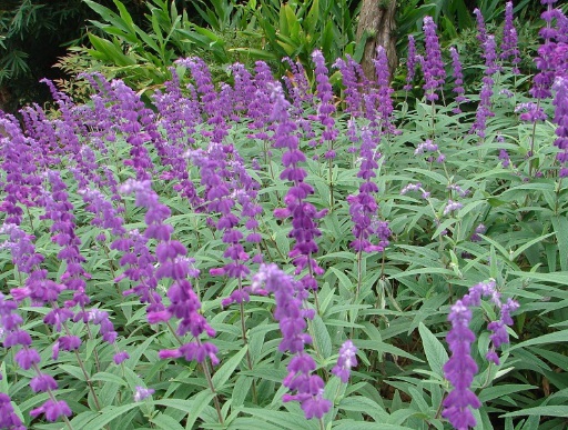 1630670741303857.jpg image.jpg