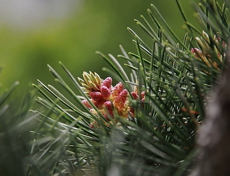 1630674714592924.jpg image.jpg