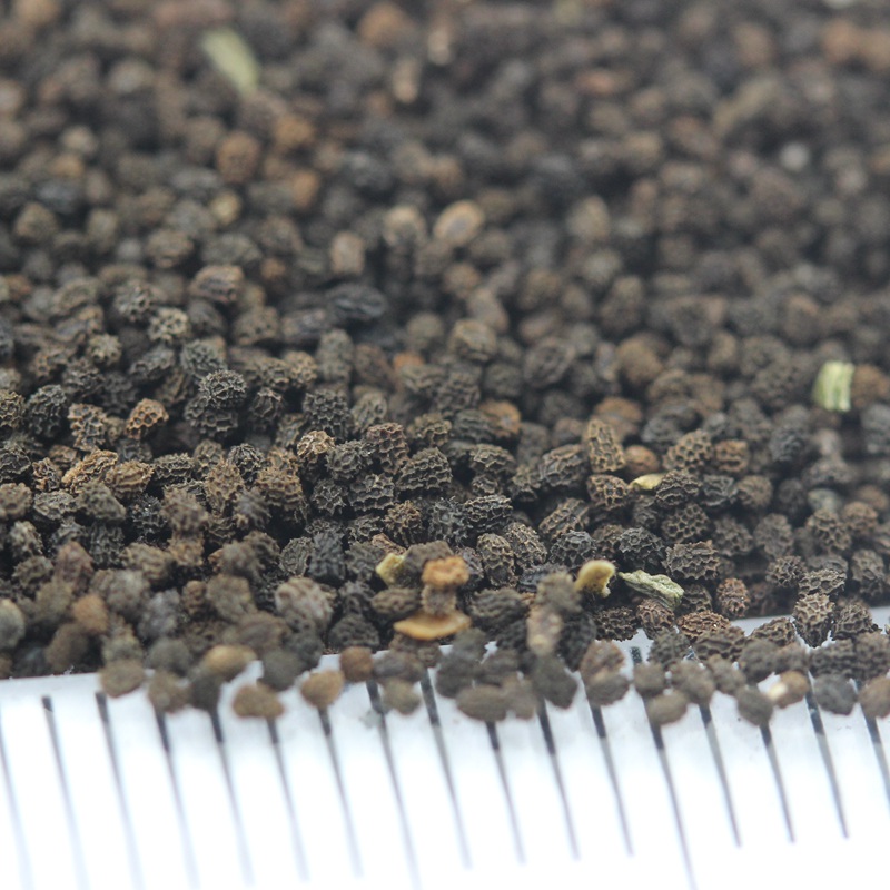 1630748173913644.jpg 99372a5d127ce51a64bf4d588278fb12_1590847096773301.jpg