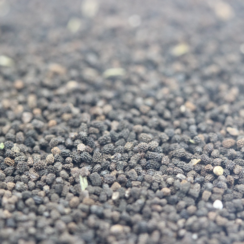 1630748193801372.jpg 662bbddc9eda93aa0fd18de9a3d8bea9_1590847134456964.jpg