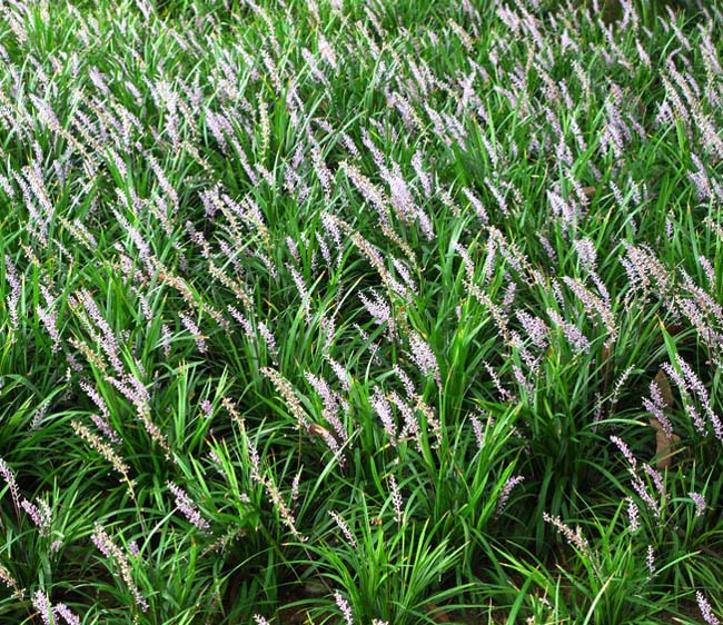 1630748577307637.jpg 0294bf2557a6c1d71d46edc3690676f7_20170417142255909.jpg