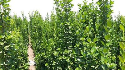 1630756769402200.jpg 1630756769402200.jpg