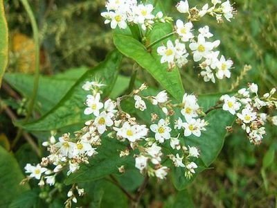 1630760641694985.jpg 1630760641694985.jpg