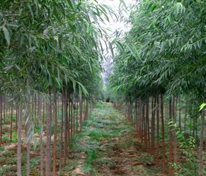 1630763492763460.jpg 1630763492763460.jpg