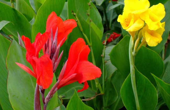 1630764171627617.jpg 1630764171627617.jpg