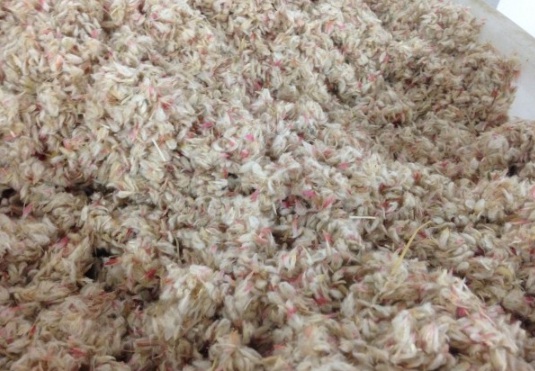 1630911017901319.jpg image.jpg