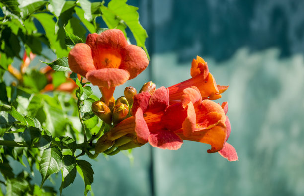 1630911846631587.jpg 1630911846631587.jpg