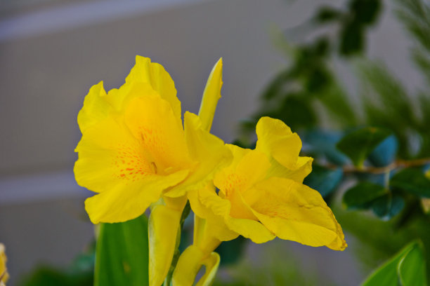 1630911995237643.jpg 1630911995237643.jpg