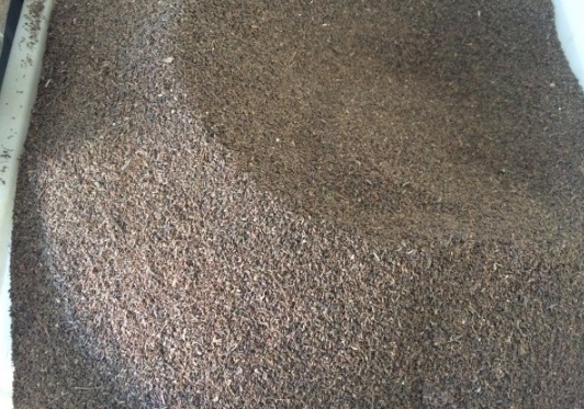 1630912361735639.jpg image.jpg