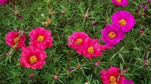 1630917349477421.jpg image.jpg