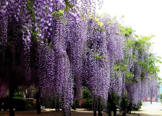 1630919192931869.jpg image.jpg