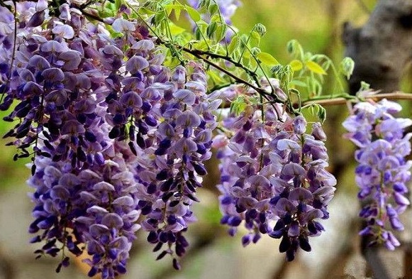 1630921219651979.jpg 1630921219651979.jpg