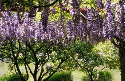 1630921228827185.jpg 1630921228827185.jpg