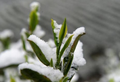 1630921306888064.jpg image.jpg