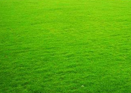 1630922071882840.jpg 1630922071882840.jpg