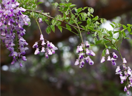 1630922395206590.jpg 1630922395206590.jpg