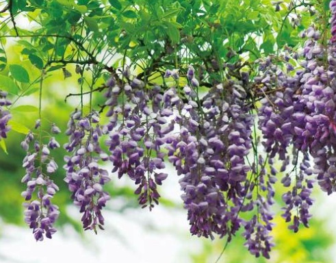 1630922417141349.jpg image.jpg