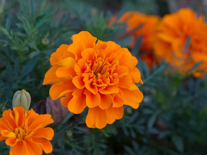 1631016422928884.jpg 041fac6a3c32ce63701f1e2eef1f194c_1592897789328492.jpg